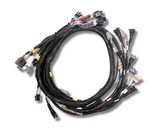 Link ECU Terminated Engine Harness GM LS GEN3/4