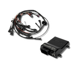 Terminated Engine Harness - BMW M50