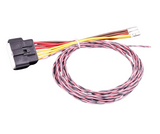 MaxxECU wiring harness for PWM module