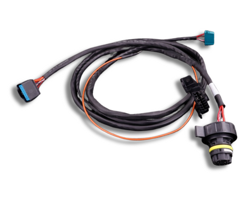 BMW M4 DCT (GS7D36SG) cable harness