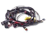 Terminated Engine Harness - GM LS GEN III/IV