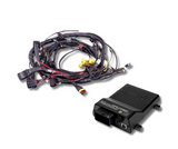 Terminated Engine Harness - GM LS GEN III/IV