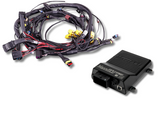 Terminated Engine Harness - GM LS GEN III/IV