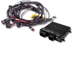 Terminated Engine Harness - GM LS GEN III/IV