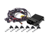 Terminated Engine Harness - GM LS GEN III/IV