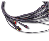 Terminated Engine Harness - GM LS GEN III/IV