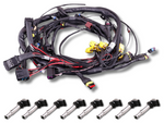 Terminated Engine Harness - GM LS GEN III/IV