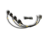 Universal 4 Cylinder Coil Harness