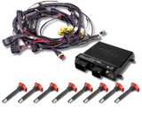 Terminated Engine Harness - GM LS GEN III/IV