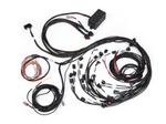 Haltech Elite 2500 + Terminated Harness Kit For Ford Falcon BA/BF Barra 4.0L I6