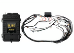 Haltech Elite 2500 + GM GEN IV LSx (LS2/LS3 etc) non DBW Terminated Harness Kit