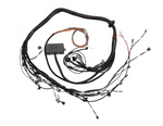 Haltech Elite 2500 + Toyota 2JZ No Ignition Harness Terminated Harness Kit