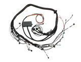 Haltech Elite 2500 + Toyota 2JZ IGN-1A Terminated Harness Kit