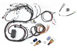 Haltech Elite 2000/2500 Terminated Harness for Nissan RB Twin Cam With CAS Harness