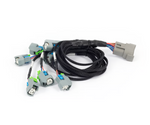 Haltech Nexus Rebel LS - LS EV6 Injector Sub-Harness