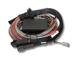 Elite 1500 Premium Universal Wire-in Harness Length: 2.5m (8')