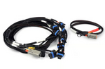 Haltech Nexus Universal V8 - IGN-1A Ford Harness